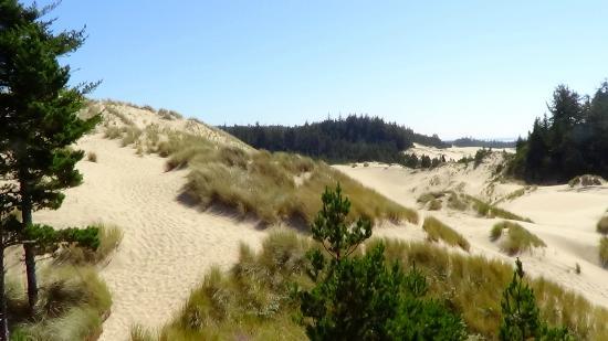 Oregon Dunes National Recreation Area